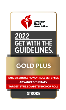 GWTG Gold Plus Award icon
